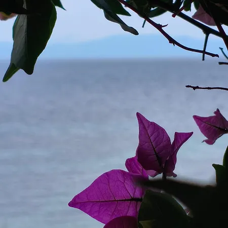 Lia Sea View * Néa Fókaia