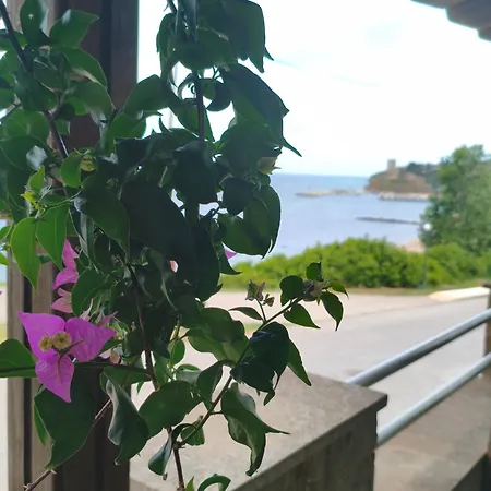 Lia Sea View Semesterbostad Néa Fókaia